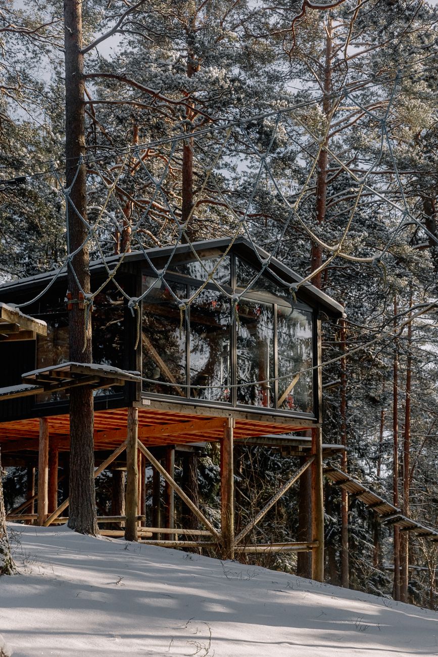 Architectural luxury cabin in woods